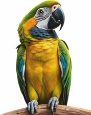 Tile Mural Macaw Parrot Tropical Bird Wildlife Kitchen Bathroom Wall Backsplash