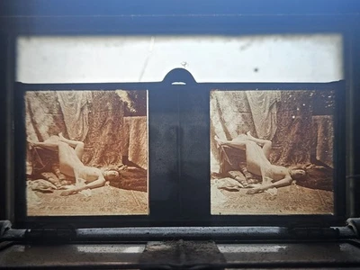 plaques stéréoscopiques en verre - Photo 1/3