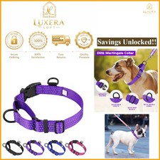 Reflective Nylon Martingale Dog Collar Medium Large No Pull Purple