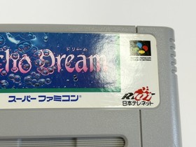 Psycho Dream Telenet 1992 Nintendo Super Famicom SFC SNES Used Tested Japan JP