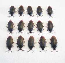 15 NEW FAKE COCKROACHES LARGE REALISTIC COCK ROACH BUGS 2" SIZE SCARY PRANK