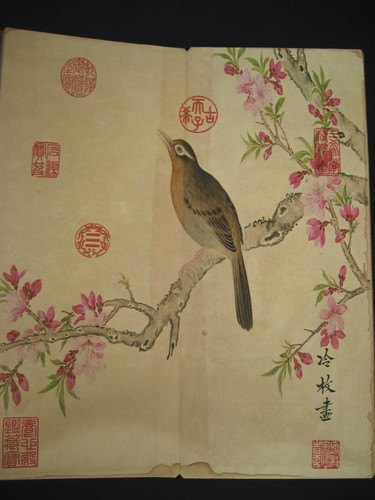 Álbum de pergamino de pintura antigua china "Grúa y pájaro" de Leng Mei冷枚 花鸟册页 - Imagen 11 de 11