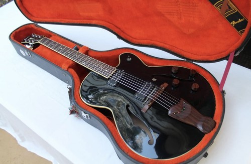 Fender D’Aquisto Standard Master Series - Jazz Hollow Body Electric Guitar 