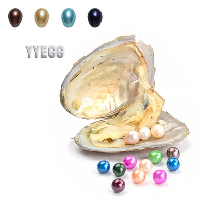  Oysters Organic Pearls Round& Oval Bulk Beads  6- 8 Mm Vacuum Pack Pink / White