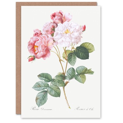 Pierre-Joseph Redouté Kunstkarte Vintage rosa Rosenstrauch Blumen Illustration