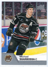 2020-21 Upper Deck AHL #24 Michael Sgarbossa