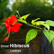 Dried HIBISCUS LEAVES POWDER Herbal Organic Natural Pure Leaf