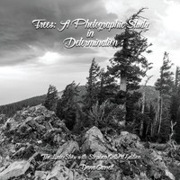 Dana Garrett | Trees | Taschenbuch | Englisch (2026) | Pinyon Mountain Studios