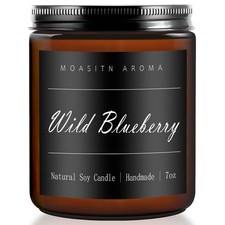 MOASITN Blueberry Scented Soy Candle 7oz | Handmade Aromatherapy Jar Gift