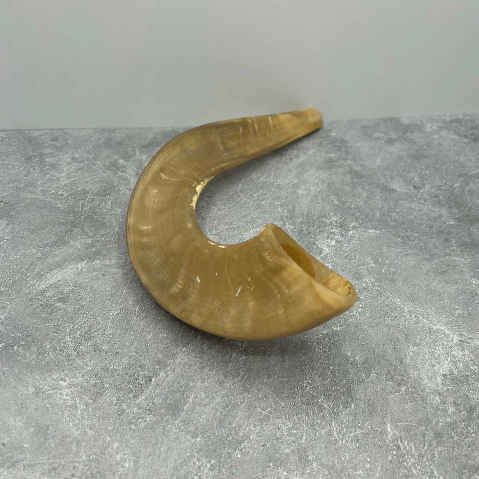 Davida Yehuda Hand Painted Anointing Oil Ram Horn Polished Shofar - Image 2 of 4