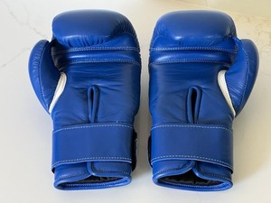 boxing gloves 10 oz
