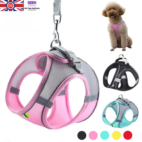 Dog Harness and Leash Set Adjustable Puppy Small Dog Vest Walking Lead Outdoors