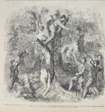 Frank Leslie's  10/26/1861 A Rebel Treed / 4 panel map / Lincoln Cartoon