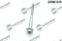 Original Dr.Motor Automotive Schraube EinspritzdüSenhalter DRM01076 FüR Audi