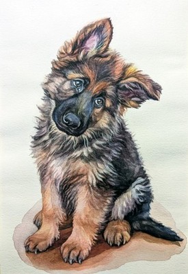 Custom  watercolor Pet Portrait from Photo A5 5x7'' Realistic Personalised art