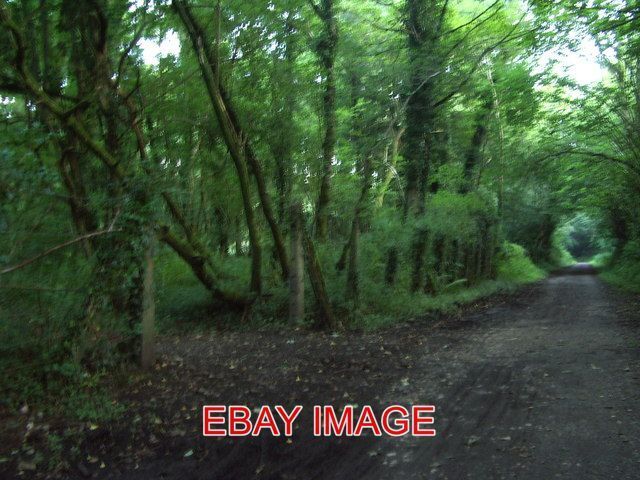 Picture 1 of 1
