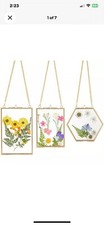 3 Packs Pressed Flowers Glass Frames- Golden Hanging Glass Picture Frames with