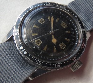 nivada diver