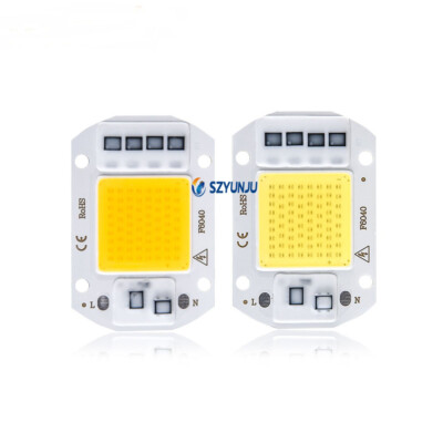 COB LED Lamp Chip 50W 30W 20W 110V 220V DIY LED Bulb Flood Light Diode Spotlight