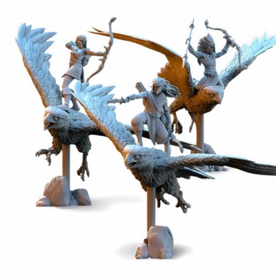 The Beholder Elves Sylvan Hunters Falconers 3D Printed Miniature