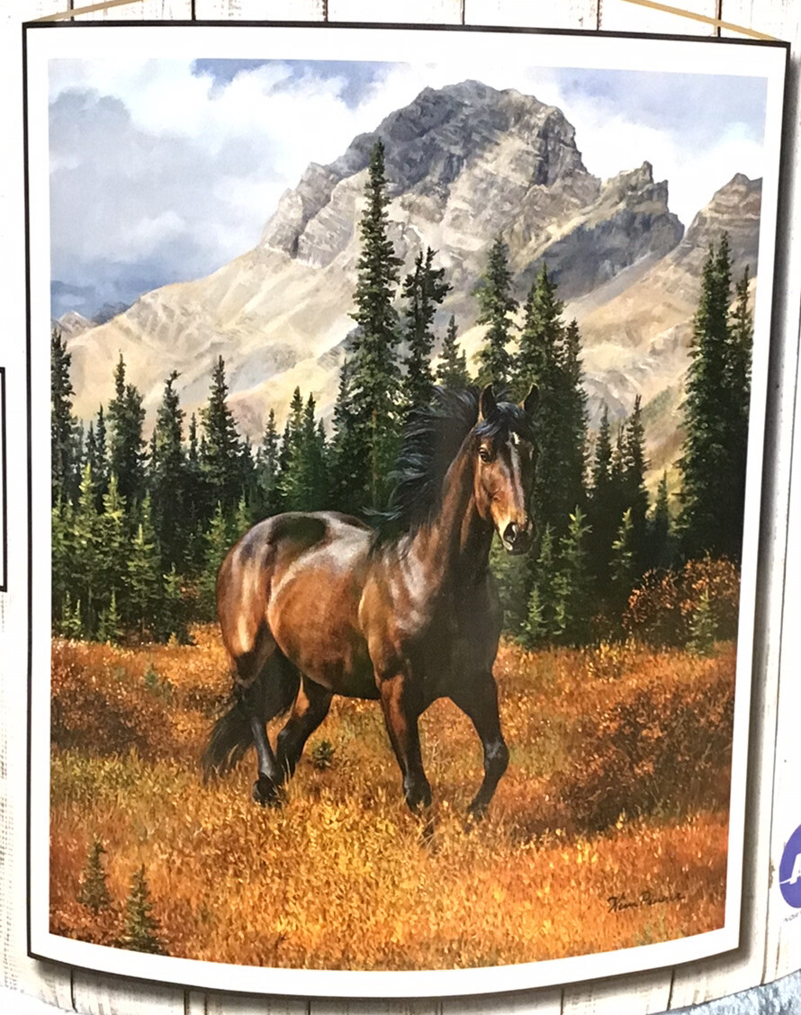 A45+Brown+Horse+Rocky+Mountain+Freedom+Heartland+Plush+Throw+Blanket+