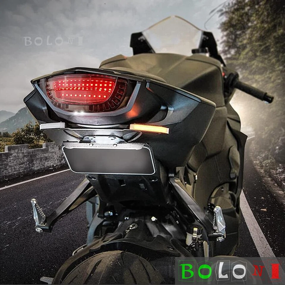 Rear Tail Light Brake Turn Signals Integrated LED Light For Honda Suzuki Yamaha  — 第 3/4 张图片