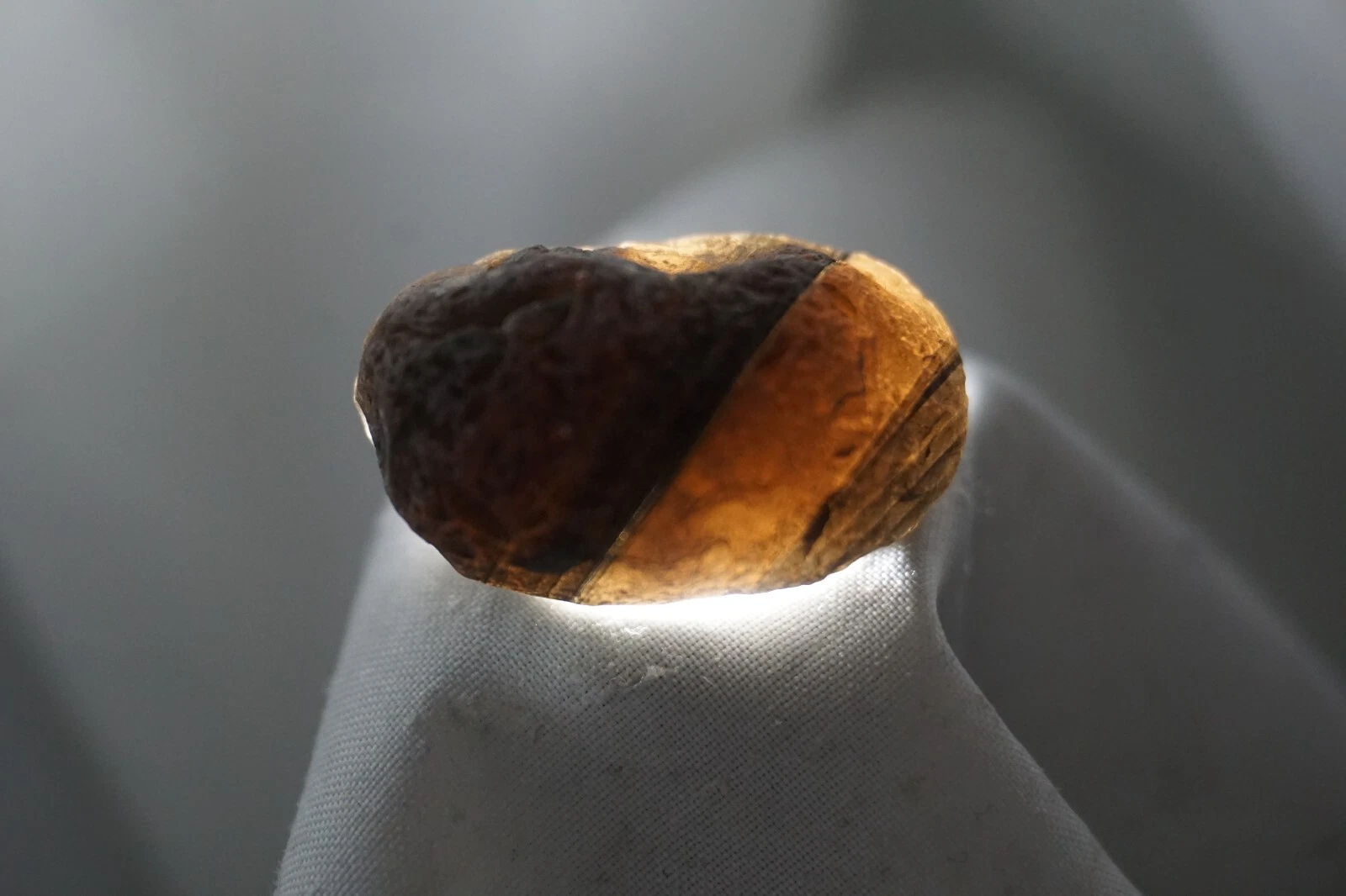 Saffordite   Cintamani   11g   RARE   Arizonite   Tektite Star Stone #phx2