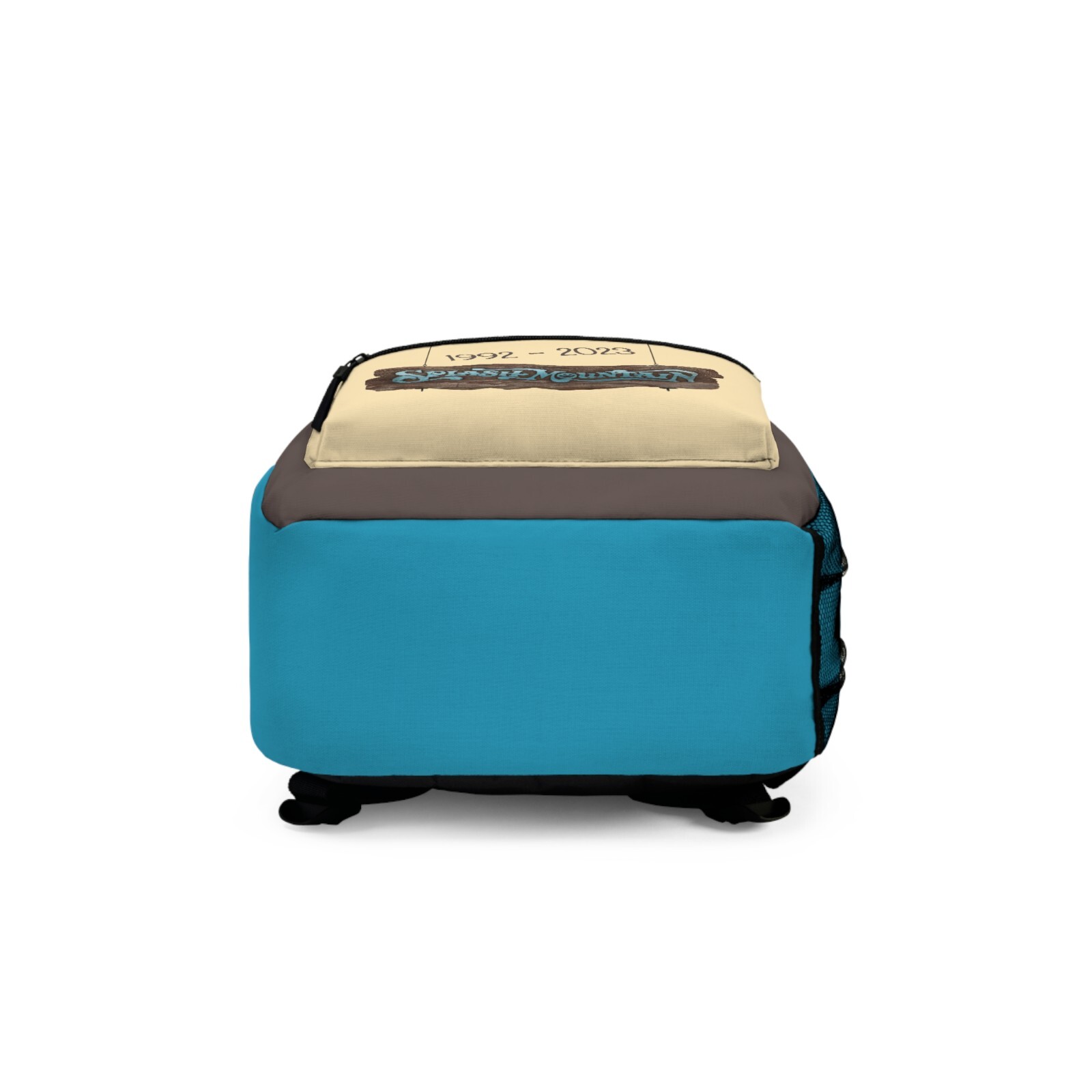 Disney Splash Mountain Backpack, Disney World Backpack, Brer Rabbit, Brer Bear