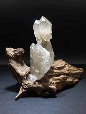 Natural Brazilian scepter rough stone crystal Mineral specimen reiki decor