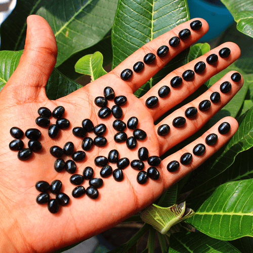 Lote de 25 piedras preciosas calibradas cabujón ovalado de 9 mm x 7 mm con diópsido estrella negra natural - Imagen 11 de 24