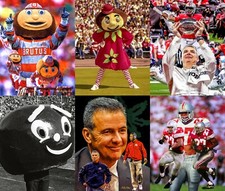 Ohio State Brutus Mascot Buckeyes Art College Football Urban Meyer Eddie CHOICES