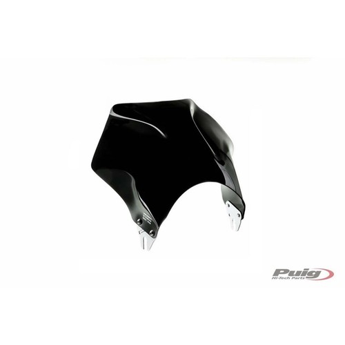 WINDSCHILD UNIVERSAL RAPTOR PUIG FUR CAGIVA RAPTOR 125 2003 > 2012 ...
