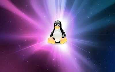 Any Linux Operating System on a Stick | USB Flash Drive