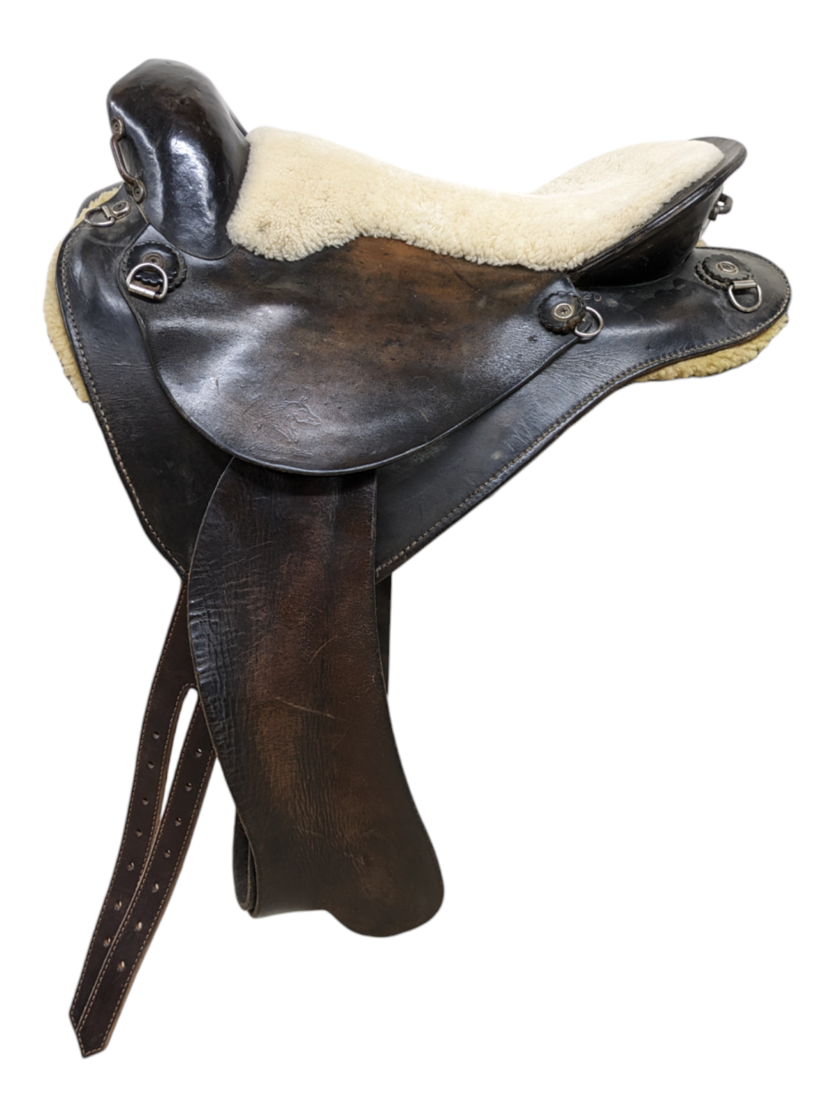 15" Used Synergist Endurance Saddle 7606334 eBay