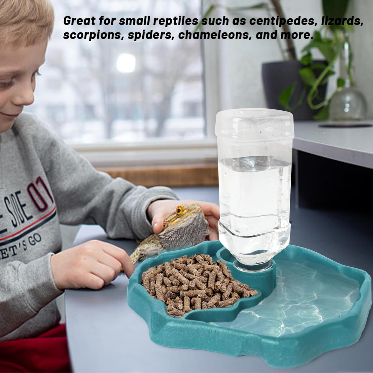 Set 2 Ciotole Per Rettili - Cibo E Acqua, Per Tartarughe, Gechi E Serpenti - Foto 10