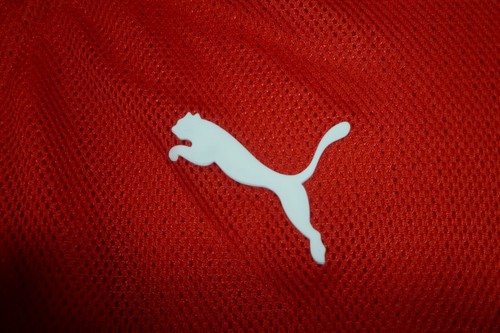 Switzerland Puma Football Shirt Home 2008/2009/2010 Red Soccer Jersey Men Size L - Picture 4 of 10