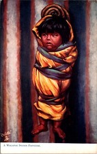 Arizona Walapai Indian Papoose Native American Tuck Oilette 2431 Postcard  24205
