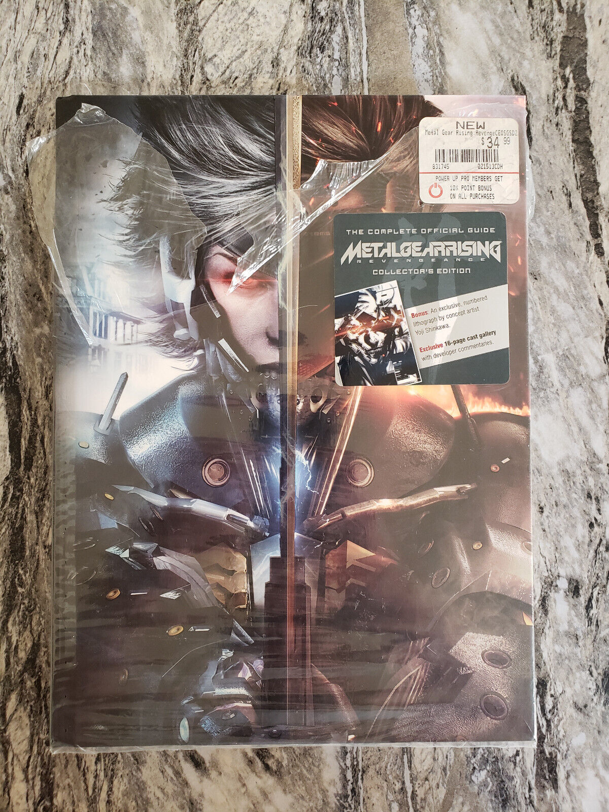 Metal Gear Rising: Revengeance - The Complete Official Guide 