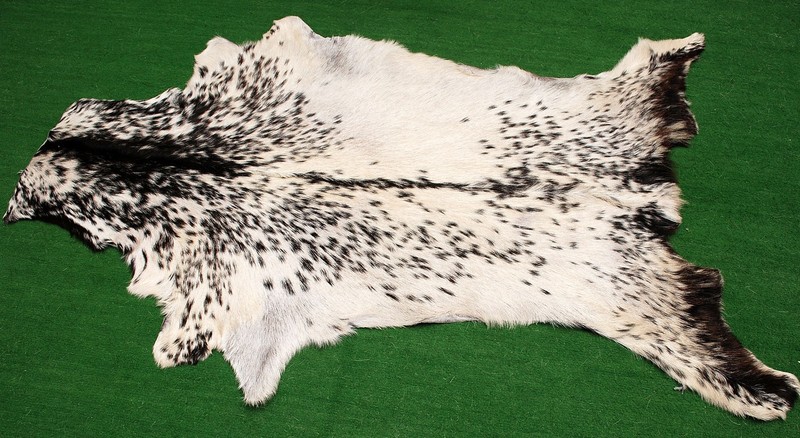 GOAT Western taxidermy Hide Rug Natural Pattern Fur Goat Hide Rode SA-954