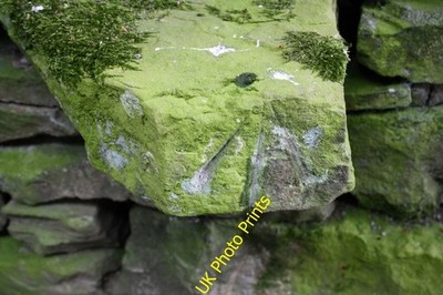 Photo 6x4 Benchmark on roadside wall at Garland Hill Askrigg Ordnance Sur c2016