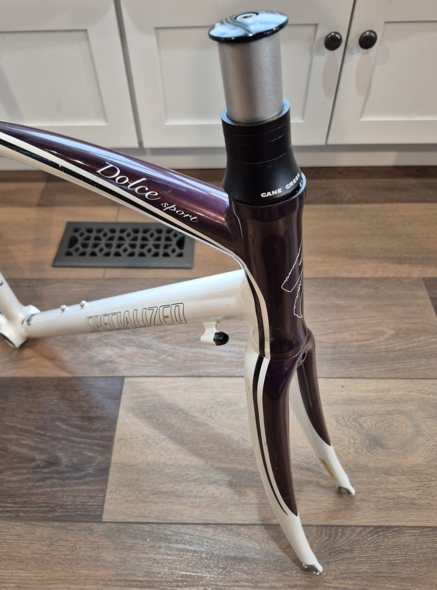 Specialized Dolce Sport Road Frame Set with Carbon Fiber Fork 51