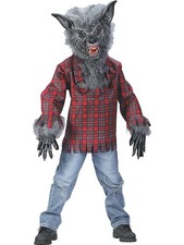 Gray Tranformed Full Moon Werewolf Boy's Costume
