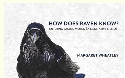 HOW DOES RAVEN KNOW By Margaret Wheatley **BRAND NEW**