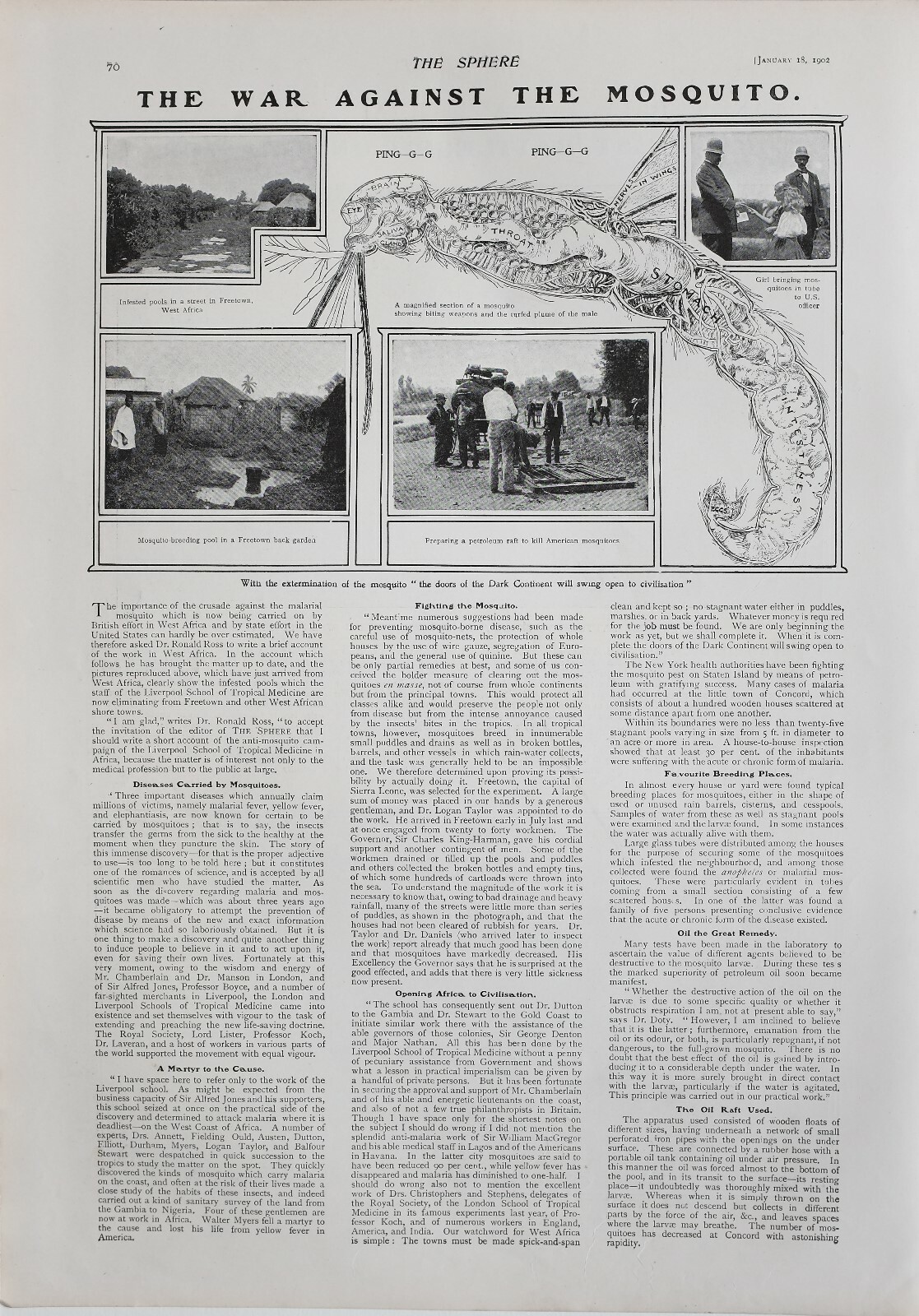 1902 Estampado Mosquito Infested Piscinas Freetown Oeste África Petróleo Balsa