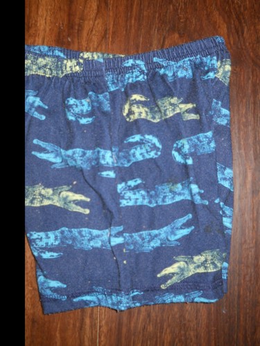 Carters Child of Mine® Blue Dinosaur Shorts ~ SZ 5T . - Picture 3 of 3