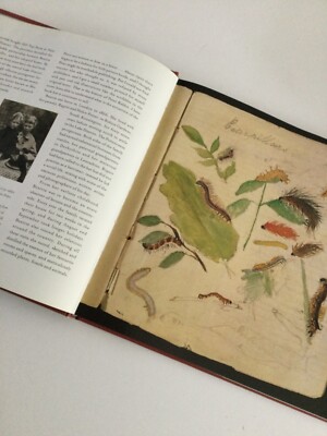 AT HOME WITH BEATRIX POTTER／SUSAN DENYER At Home with Beatrix Potter: The Creator of Peter Rabbit by