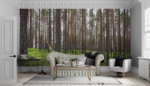 3D Forest Self-adhesive Removeable Wallpaper Wall Mural - Picture 3 of 9