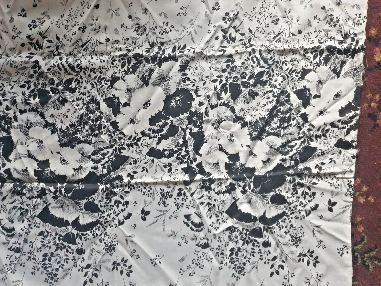 Picture 6 of 12