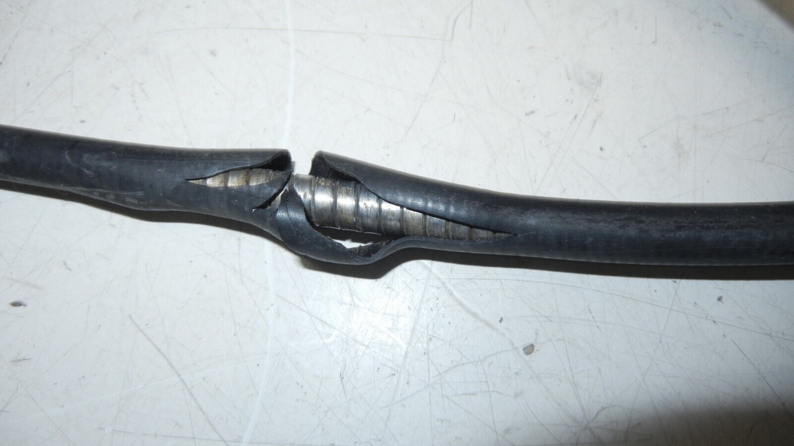 Picture 6 of 6