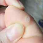 Picture 6 of 8